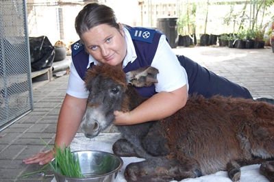 Salomé soon to be at the helm of GRSPCA