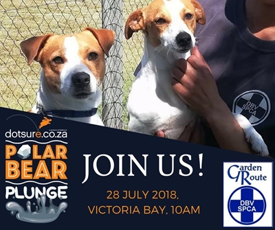Water polo team plunging for SPCA