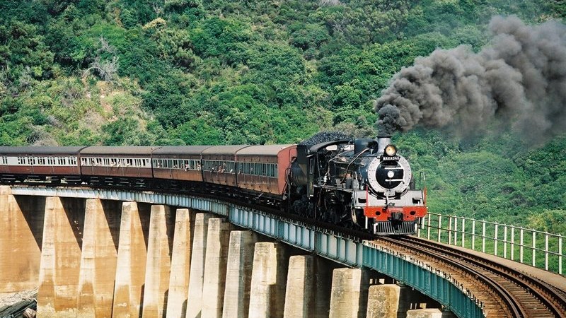 Imagem/foto