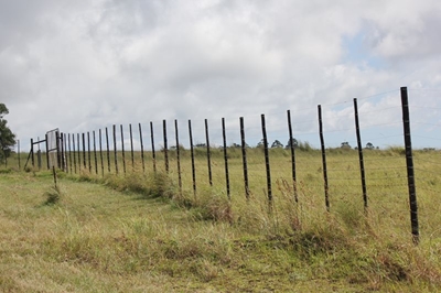 Fire-resistant droppers for SA farmers
