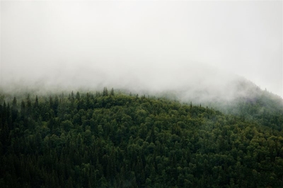 Online platform for environmental authorisation cuts red tape