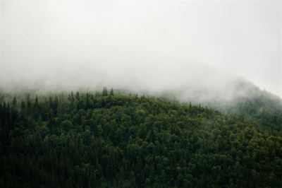 Online platform for environmental authorisation cuts red tape