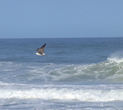 Dangerous rip currents: No lifeguards on duty until 30 November 2024
