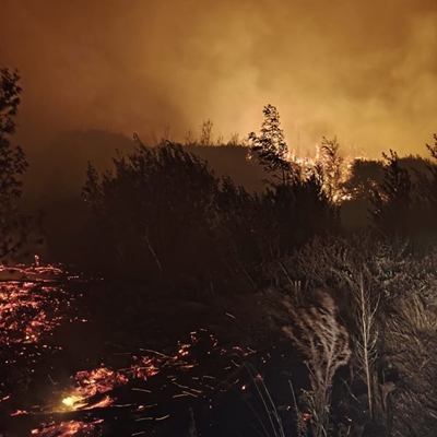 Garden Route Wildfire: Kurland, Plettenberg Bay