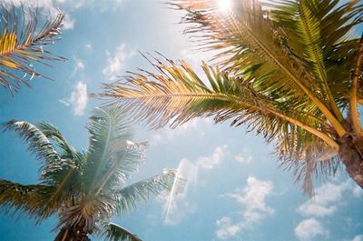 Hot weather forecast for tomorrow, Tuesday 4 February