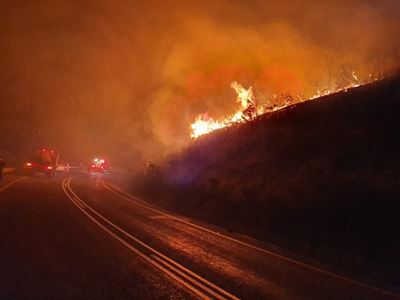 Vegetation fire extinguished