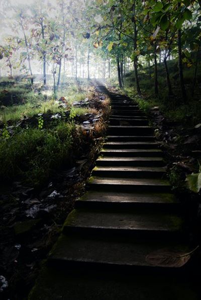 Take the stairs more
