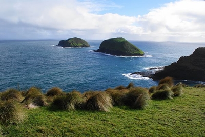 Remote Cape with 'world's cleanest air' offers smog respite