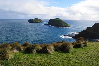 Remote Cape with 'world's cleanest air' offers smog respite