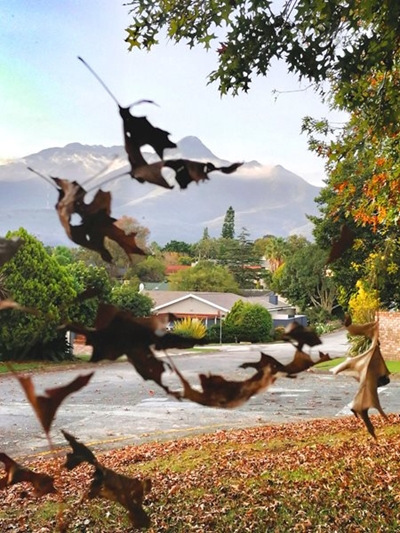 Photographer of the year competition 2024 launches today  