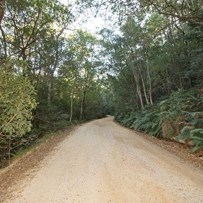 Outing to see vegetation recovery after Knysna fires