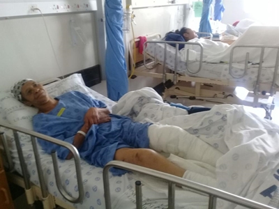 DBV waarsku na hond vrou in Pacs aanval
