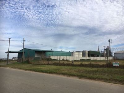 Fish meal plant must shut