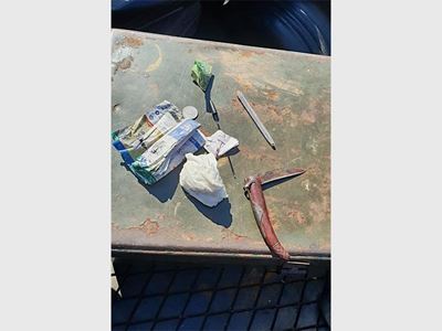 Gardener stabs employer 5 times in Brackendowns
