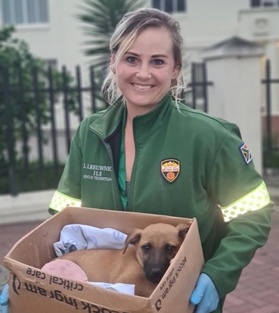 Valentine's hero saves puppy