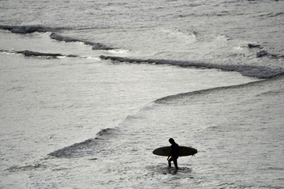 Surfer dies after shark attack in Australia