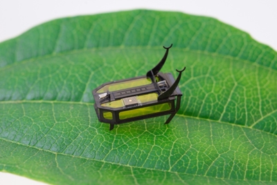 Beyond batteries: Scientists build methanol-powered beetle bot