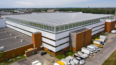 World's biggest rooftop greenhouse opens in Montreal