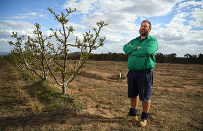 'Day Zero' looms in Australian Outback as climate change bites