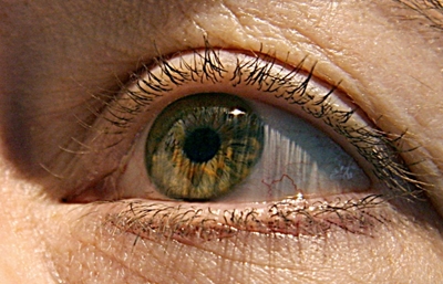Flushed contact lenses are big source of microplastic pollution