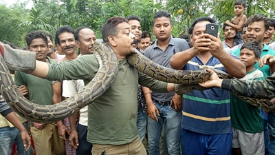 Python selfie puts Indian forest ranger in tight spot