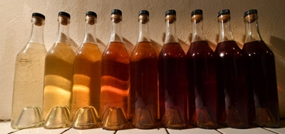No, we're not born with alcohol deficit: doc behind 'Another Round'