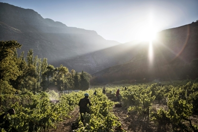 South Africa tourism on edge with double impact of virus, riots