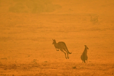 Climate change worsening Australia's extreme weather: scientists