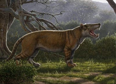 Researchers discover ancient giant 'lion' in Kenya