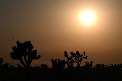 Key UN climate science talks open amid floods, fires