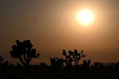 Key UN climate science talks open amid floods, fires