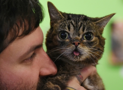 The wacky, big-money world of pet influencers