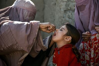 In Afghanistan, conspiracy theories fuel polio outbreak