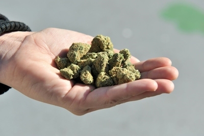 Thailand blazes ahead with push to legalise medical marijuana use
