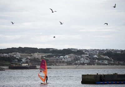 World sailing 'disappointed' over Japan dolphin show 