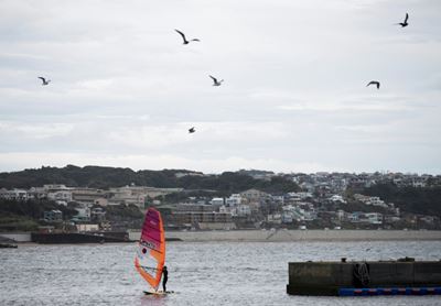 World sailing 'disappointed' over Japan dolphin show 
