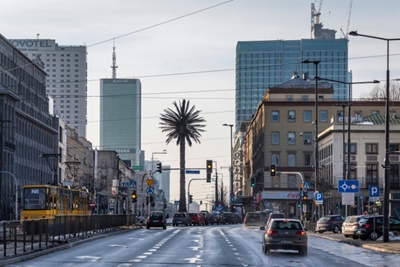 Warsaw's lone palm tree comes of age