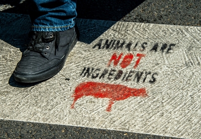 French police detain 6 vegans suspected of butcher shop vandalism