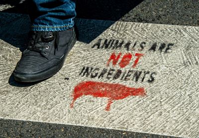 French police detain 6 vegans suspected of butcher shop vandalism