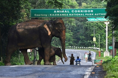 Torrential rains unleash havoc in South Asia