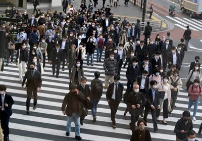 Japan on 'maximum alert' after record virus cases: PM