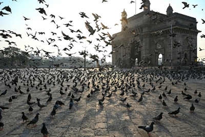 India daily virus cases double in ten days as infections soar
