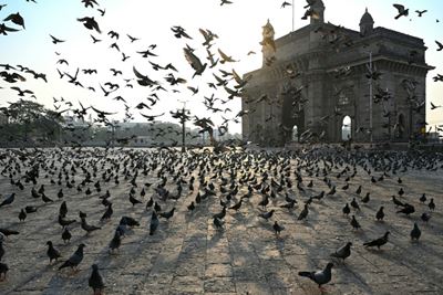 India daily virus cases double in ten days as infections soar