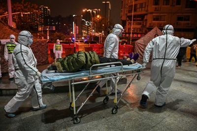 Virus likely jumped to humans from bats through 'missing link' animal: WHO report