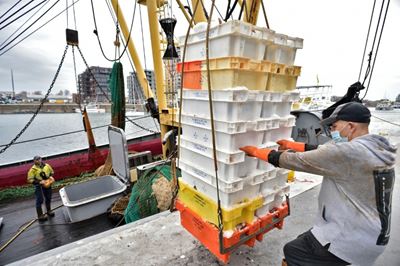 Brexit waves threaten to wreck Belgian fishing