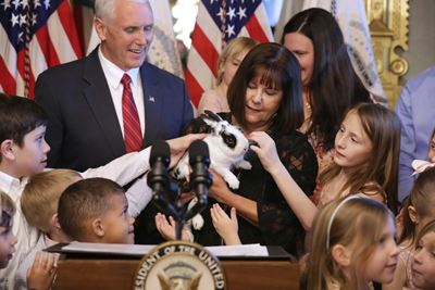 Funny old world: The week's offbeat news 