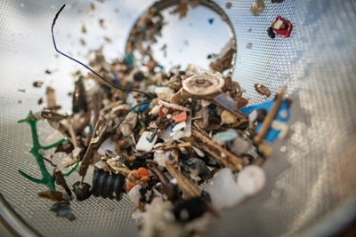 Humans consume 'tens of thousands' of plastic pieces each year