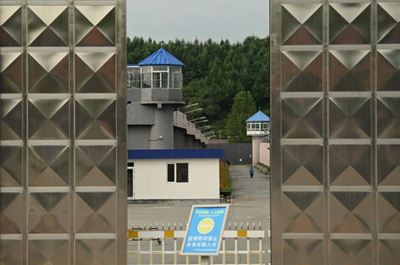 Canadian Michael Spavor jailed for 11 years in China on spying charges