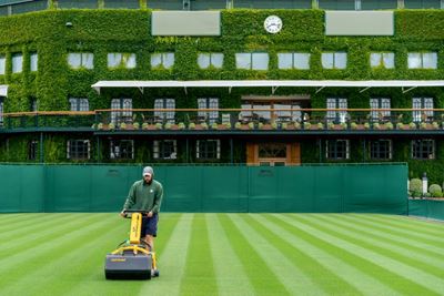 Wimbledon head groundsman says grass will be greener next year