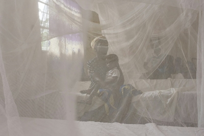 Niger distributing more than 4 mn mosquito nets to fight malaria